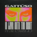 Gattüso Ft. Camylio - In Love With The Night