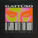 Gattüso Ft. Camylio - In Love With The Night