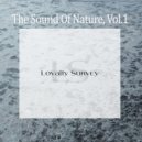VS51 & Sundew - Raffle (Original Mix)