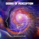 Radioactive Project - Doors of Perception (Original Mix)