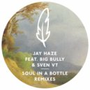 Jay Haze feat. Big Bully & Sven VT - Soul in a Bottle (Jonas Woehl Remix)