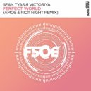 Sean Tyas, Victoriya - Perfect World (Amos & Riot Night Extended Remix)