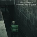 2 Sleepy Weasels - Screaming Begins Again (Original Mix)