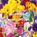 Jay Haze feat. Big Bully & Sven VT - Soul in a Bottle (Wankelmut Remix)