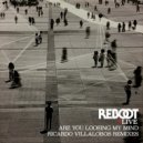 Reboot - Are You Loosing My Mind (Ricardo Villalobos Losing My Miles Remix)