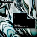 Spektre - Love Never Ends (Original Mix)