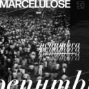 Marcelulose - Intuição