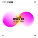 Kaiq - Fenix
