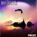 BLR & Truetone - Don't Let Me Go