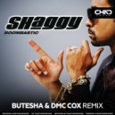 Shaggy - Boombastic
