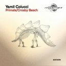 Yamil Colucci - Crosby Beach ()