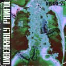 NVDNESS - Unbearably Painful ()