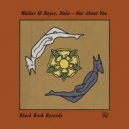 Walker & Royce, Nala - Not About You (Extended Mix)