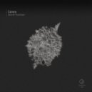 Carara - Secret Function (Acid Line)
