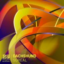 Dachshund - Atmosphere (Original Mix)