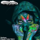 Alex BassJunkie & Riche - BulletProof (Original Mix)