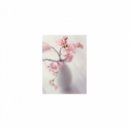 Mindfulness Healing Sleep BGM Project - Concept and Delicateness (Sleep BGM)