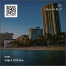 Petzoo - On You (Aradya Remix)