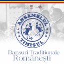 Ansamblul Timisul - Dans de Pe Valea Bistrei