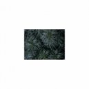 Mindfulness Healing Sleep BGM Project - Morning and Tension (Sleep BGM)