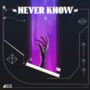 Dubdisko - Never Know (Extended Mix)
