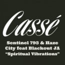 Sentinel 793 & Haze City Feat Blackout JA - Spiritual Vibrations (MistaPete Remix)