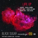 Atlantic Crew & General Dub & Swarve - Ever Afters (Original Mix)