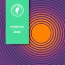 AURICULA - JAWZ (Original Mix)