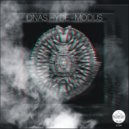 IDNAS HYDE - Mantric Vibe (Original Mix)