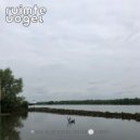 Ruimte Vogel - Alvarius (Original Mix)
