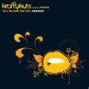 Krafty Kuts - Tell Me How You Feel (Kid Kinobe V Rogue Element Remix)