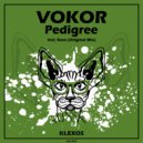 VOKOR - Pedigree (Original Mix)