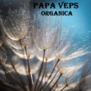 PAPA VePS - Organica (Live mix)