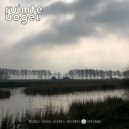 Ruimte Vogel - Create Reality (Original Mix)