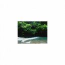 Mindfulness Healing Sleep BGM Project - Alarm and Insomnia (Sleep BGM)