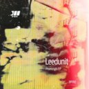 Leedunit - Beapor (Original Mix)