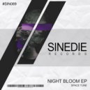 Space Tunes - Night Bloom (Original Mix)