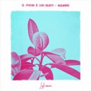 El Puffin & Lofi Beats - Algarve (Original Mix)