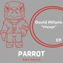 David Milano - Voyage 4 (Original Mix)