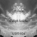 Caliph Koichi - Wilada Se (Original Mix)