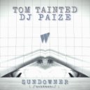 Tom Tainted, DJ Paize - Sundowner (Breaks Dub Mix)