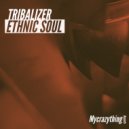 Tribalizer - Robot Monkey