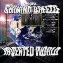 SHINING BREEZZE - GUNNA SAVE YOU ()