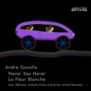 Andre Gazolla - Never Say Never