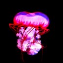 Orchiddian - Up ()