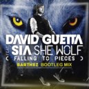 David Guetta & Sia, Barthez - She Wolf