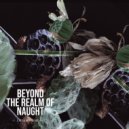 Assimilated - Into The Night (Original Mix)