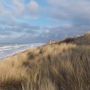Osc Project - Wind and sand