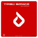 Tribu Sonica - Red Snapper