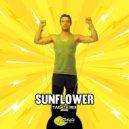Tabata Music - Sunflower (Tabata Mix)